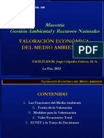 7 Valoracion Economica I