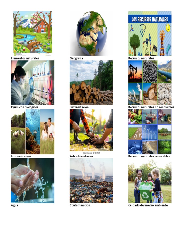 Recursos Naturales y Contaminación Ambiental | PDF