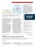 mRNA Vaccines Offer Hope For HIV: News & Views