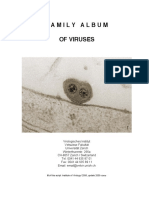 Family Album of Viruses