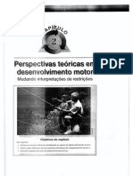 Cap_02_Perspectivas _Teoricas