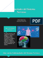 Enfermedades Del Sistema Nervioso