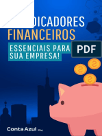 12 Indicadores Financeiros de Desempenho (Final)