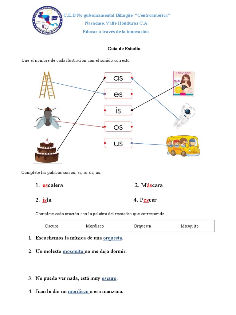 Guía de Español Primer Grado PDF