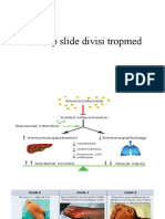 Back Up Slide Divisi Tropmed