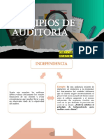 Principios de Auditoría