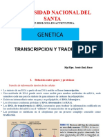 Expresion Genica, Transcripcion y Traduccion