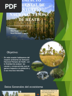 Ecosistema Pacal en la Selva Peruana | PDF | Entorno natural | Ciencias ...