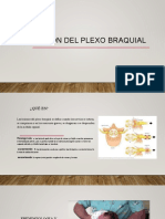 Lesion Del Plexo Braquial