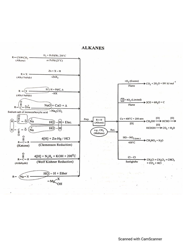 Organic Revision (ECAT) PDF