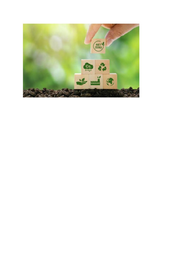 Carbon Trading | PDF