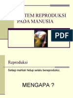 Sistem Reproduksi Pada Manusia - 1