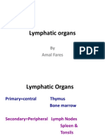 Lymphatic - 12