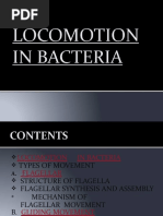 2223 - Unit 1 Locomotion in Bacteria