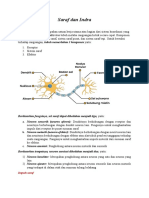 Saraf Dan Indra Biologi