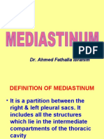 Mediastinum