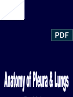 Pleura & Lungs