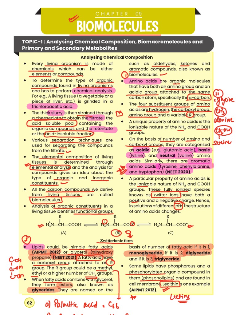 Biomolecules | PDF | Biology | Chemical Substances