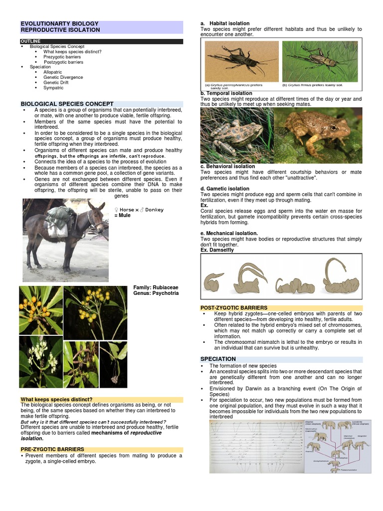Evolutionarty BiologyReproductive Isolation PDF Species Hybrid