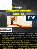 Iesvap Palestra Suícidio