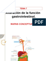 Mapas Conceptuales Tema Fisiopatologia A Digestivo