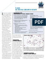 Gram Stain 2