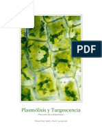 Plasmólisis y Turgescencia