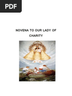 Download Novena to Our Lady of Charity by Kiven De La Caridad SN65704209 doc pdf