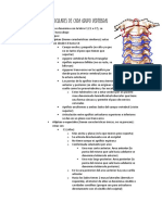 Características Particulares de Cada Grupo Vertebral