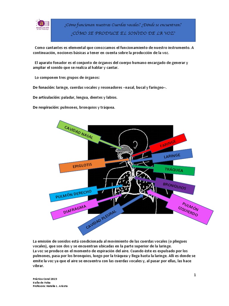 Funcionamiento del Aparato Fonador | PDF | Voz humana | Garganta Humana