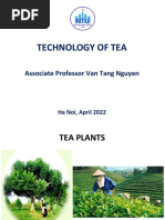CTC Manufacturing Process | PDF | Tea | Leaf
