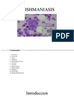Leishmaniasis 100