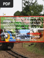 Textos sobre o Estado de Mato Grosso do Sul 5º Ano A Escola Estadual Irman Ribeiro de Almeida Silva