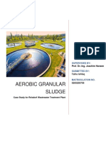 Case Study - Activated Granular Sludge