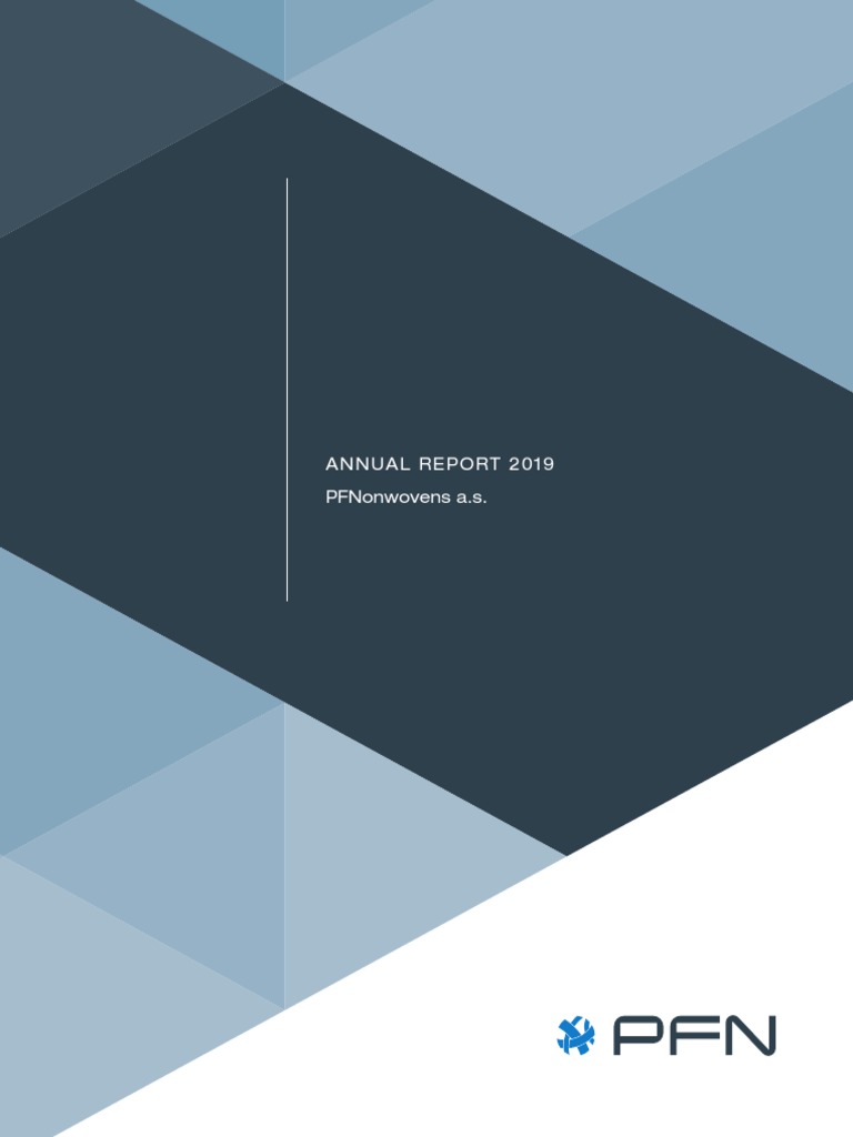 Annual Report 2019 Pdf Securities Finance Board Of Directors