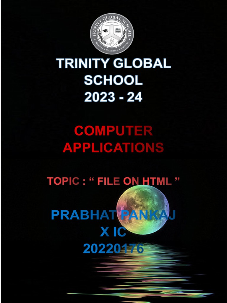 Class 10 Computer Project | PDF | Html | Manufactured Goods