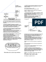 Metabolismo Energetico