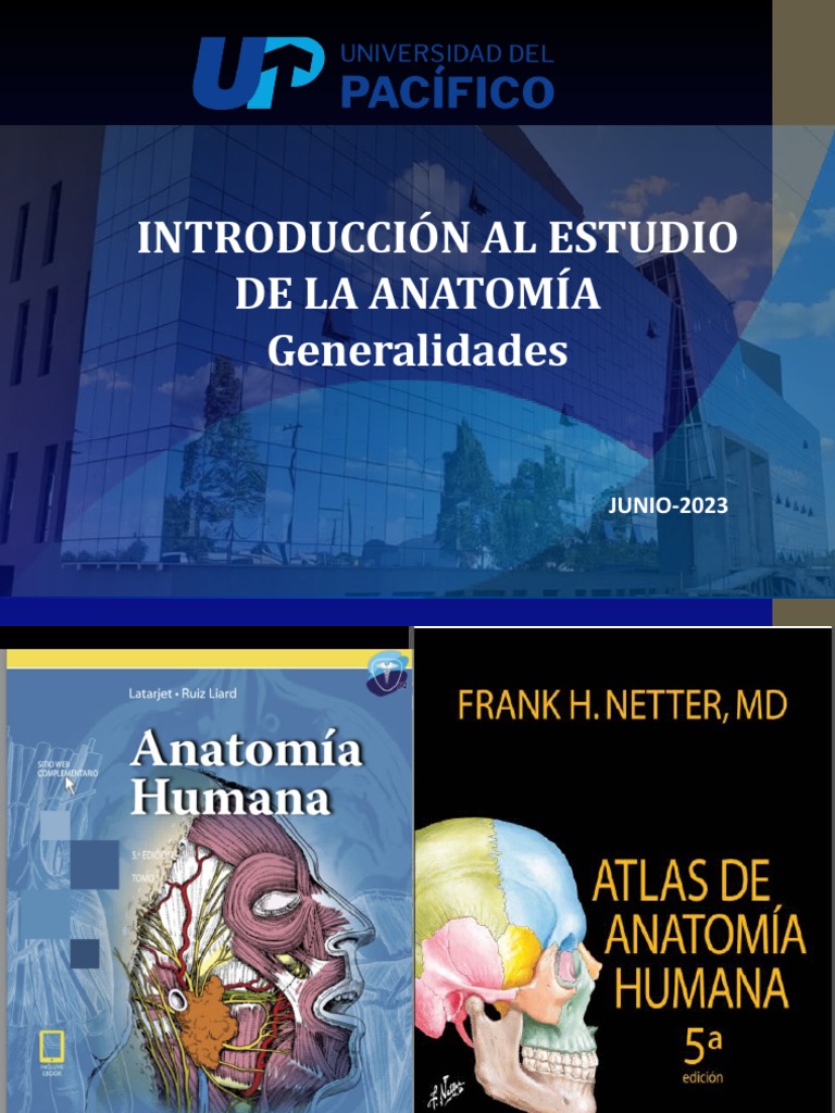 3 El Cuerpo Humano | PDF | Anatomía | Términos anatómicos de ubicación
