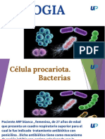 Celula Procariota Ok