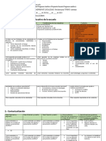 Formato 1 Plan Analitico