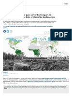 El Acuerdo de Glasgow para Salvar Los Bosques en 2030 Llega Mientras Se Bate El Récord de Destrucción de La Amazonía