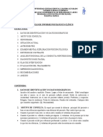 1 - Modelo - Informe - Clinico - Actualizado
