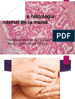 Clase 2 Anatomía e Histología Normal de La Mama 2020