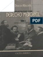 Comodin 1 - Derechos y Obligaciones Del Accionista - Mateo Amico