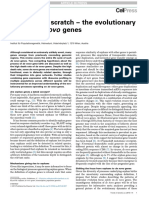 Genes From Scratch The Evolutionary Fate of de Novo Genes