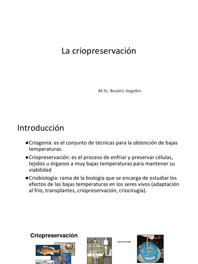 Clase 8 Criopreservacion de Gametos | PDF | Química | Biología