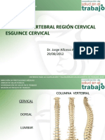 Lesiones de Columna Cervical Por at