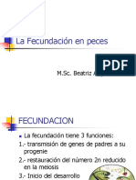 Clase 7. FECUNDACION y Conducta Reproductiva en Peces