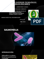 Salmonella Expo