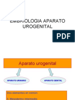 Embriologia Aparato Urogenital